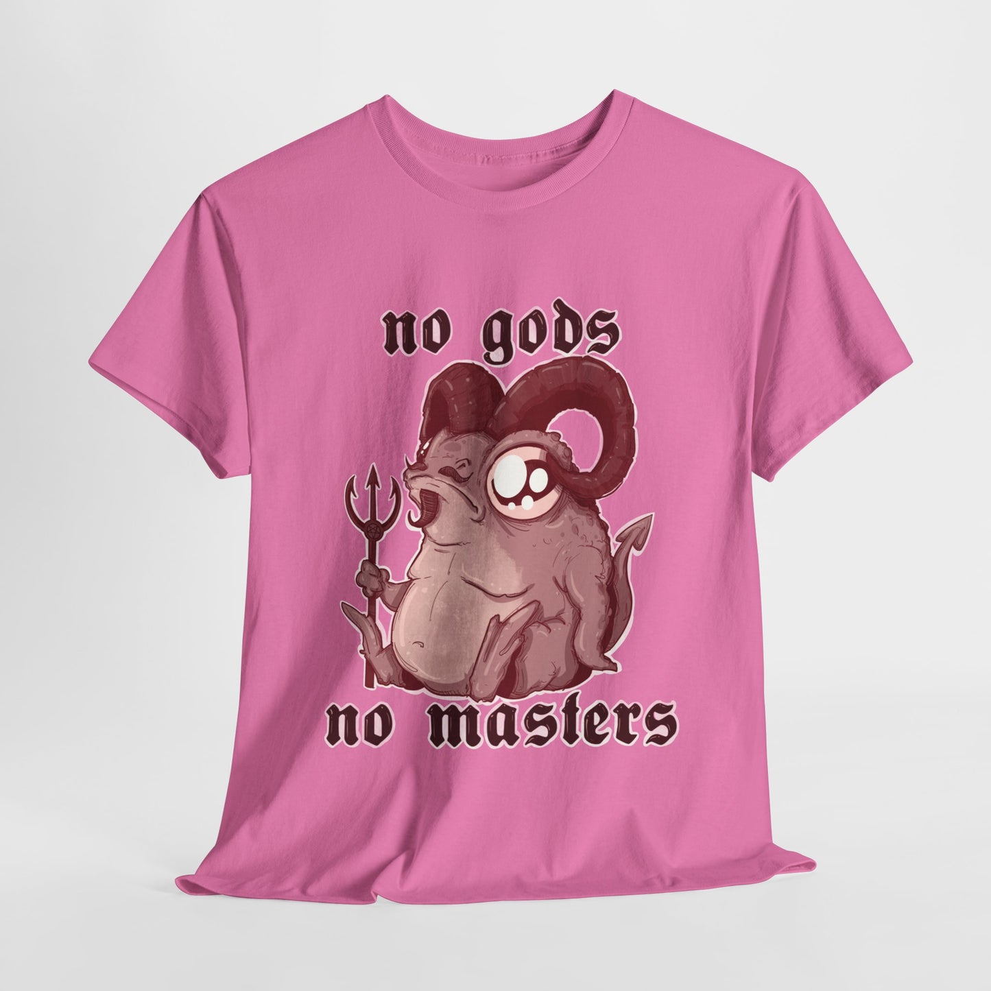 No Gods No Masters Unisex Heavy Cotton Tee