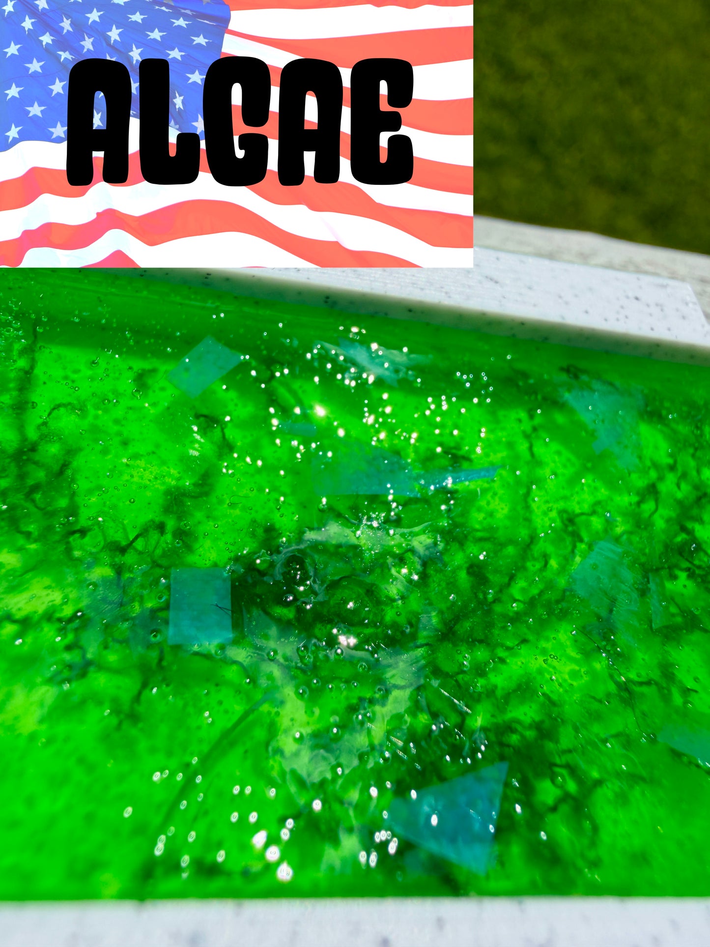 2026 Commemorative Reflecting Pool Statue 3D Print
