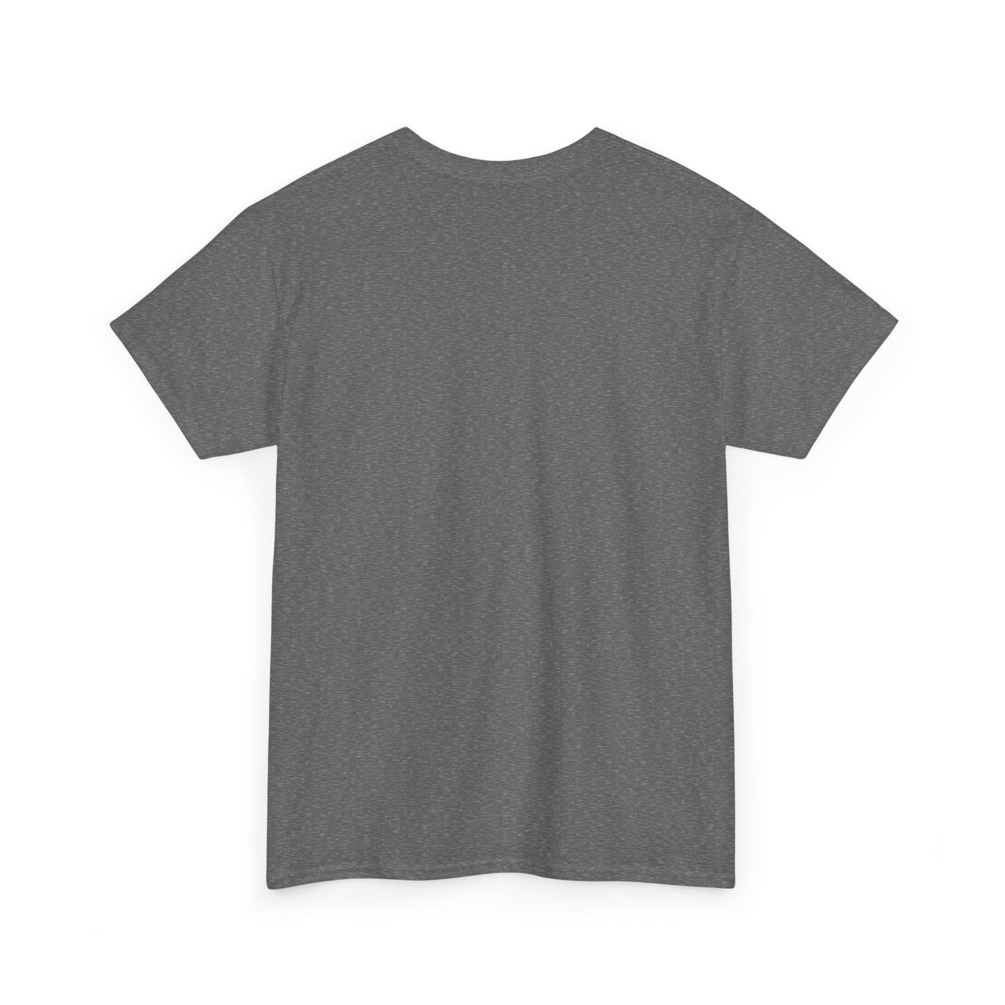 Entropy II Unisex Heavy Cotton Tee