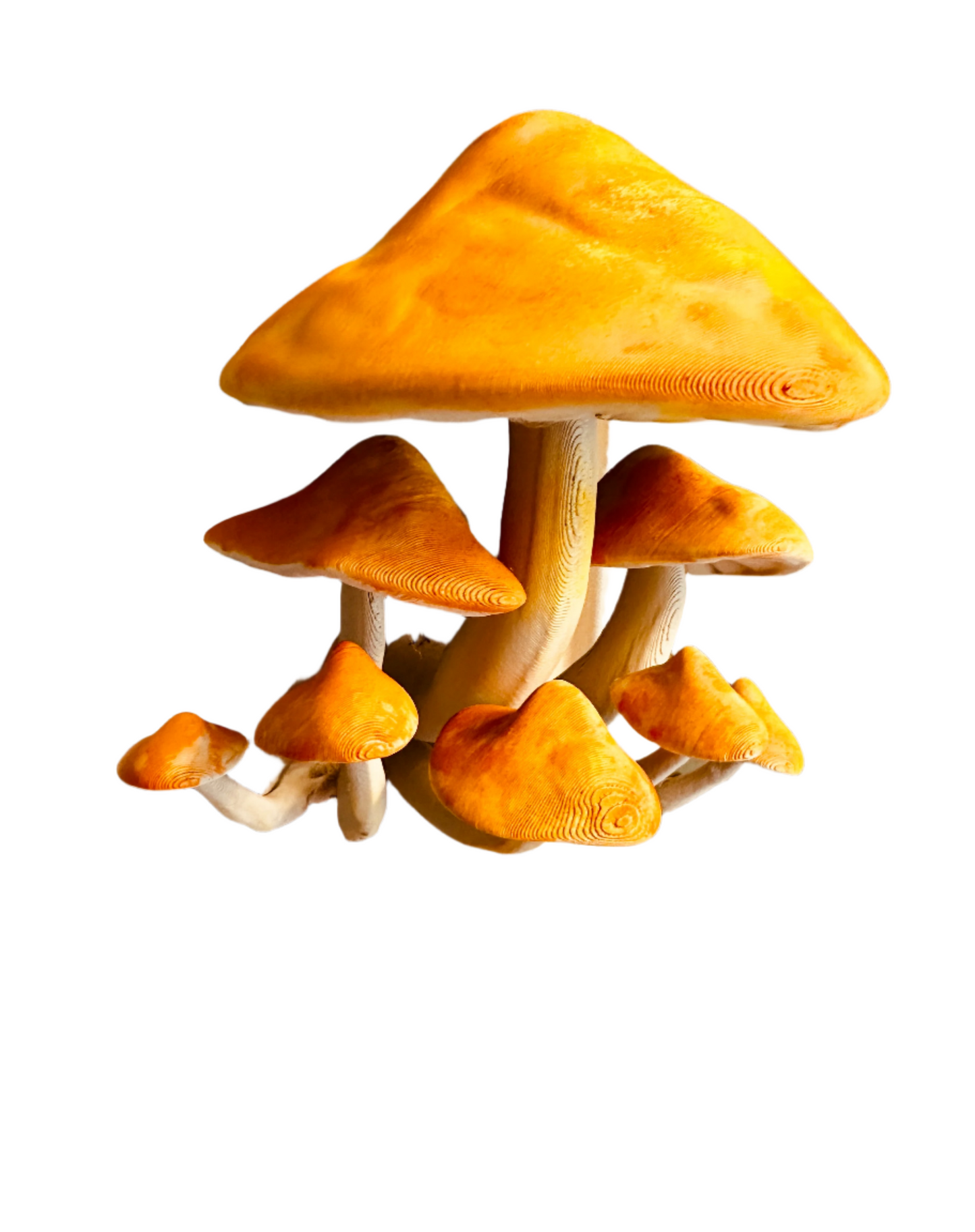 Fridge Fungi 3D Printed Magnet