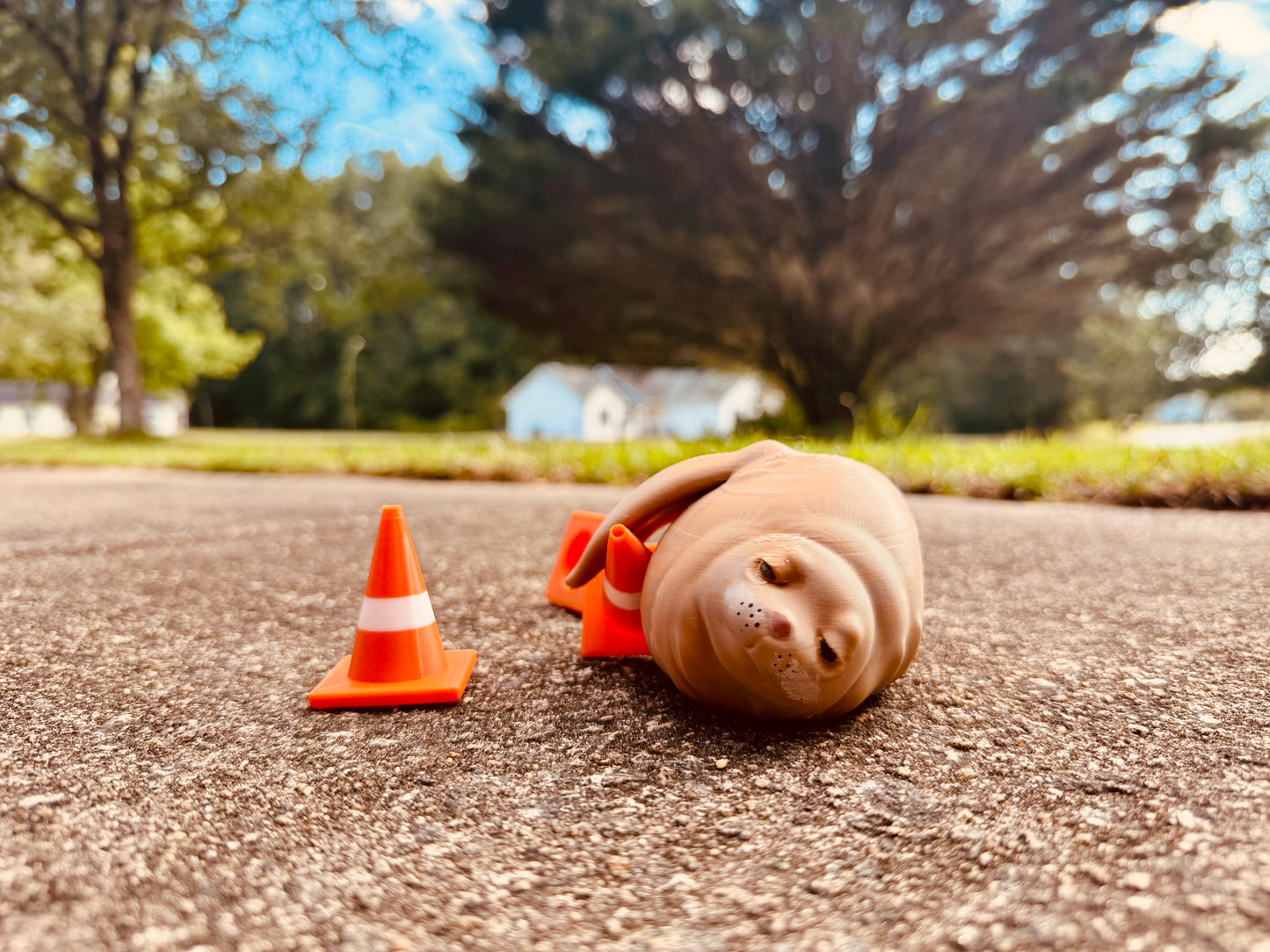Neil The Seal 3D Print