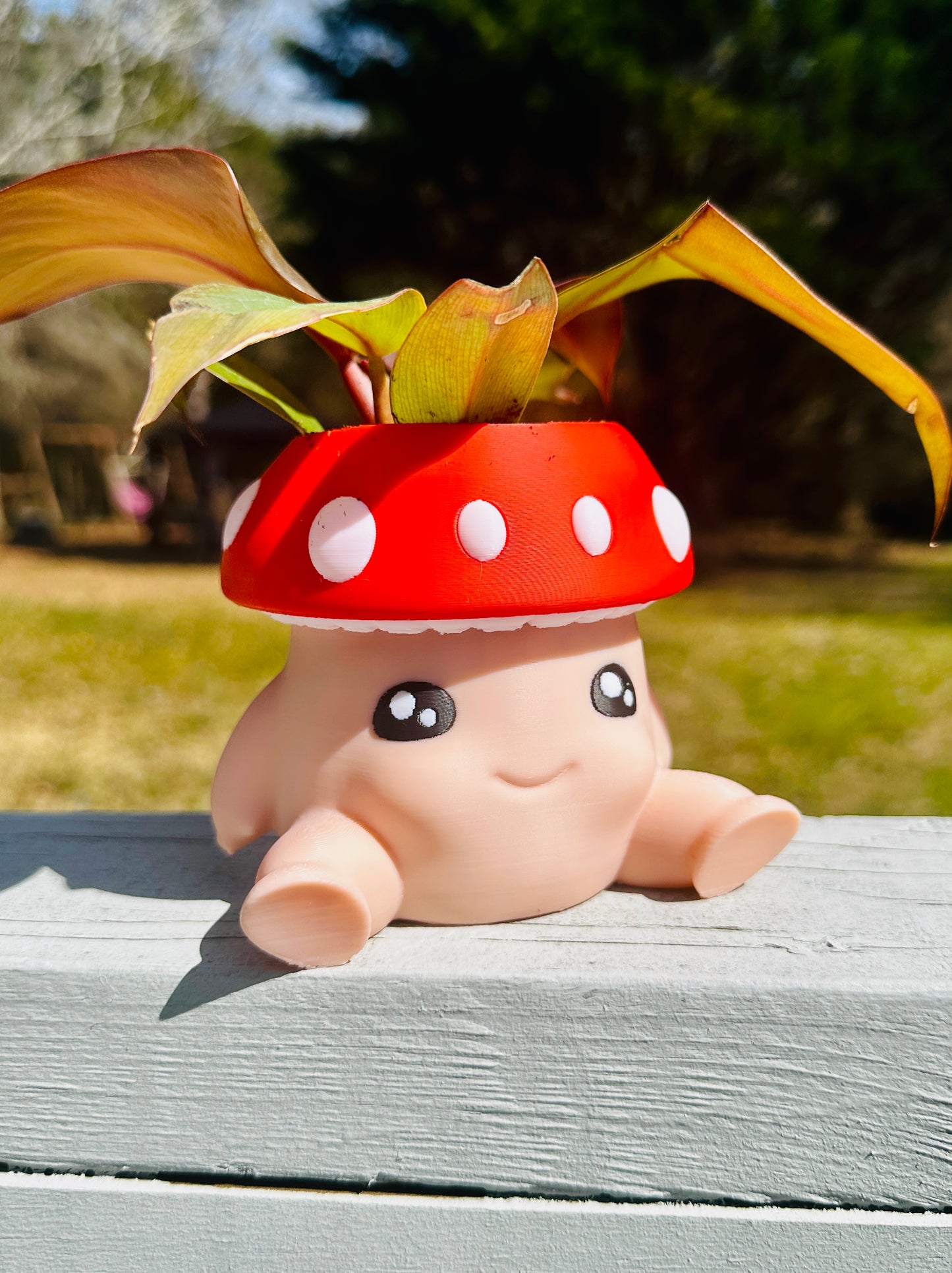 Chunky Mushroom Small Pot Plant Pencil Holder Organizer 3D Print