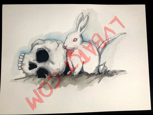 No Ordinary Rabbit 11x15 ORIGINAL