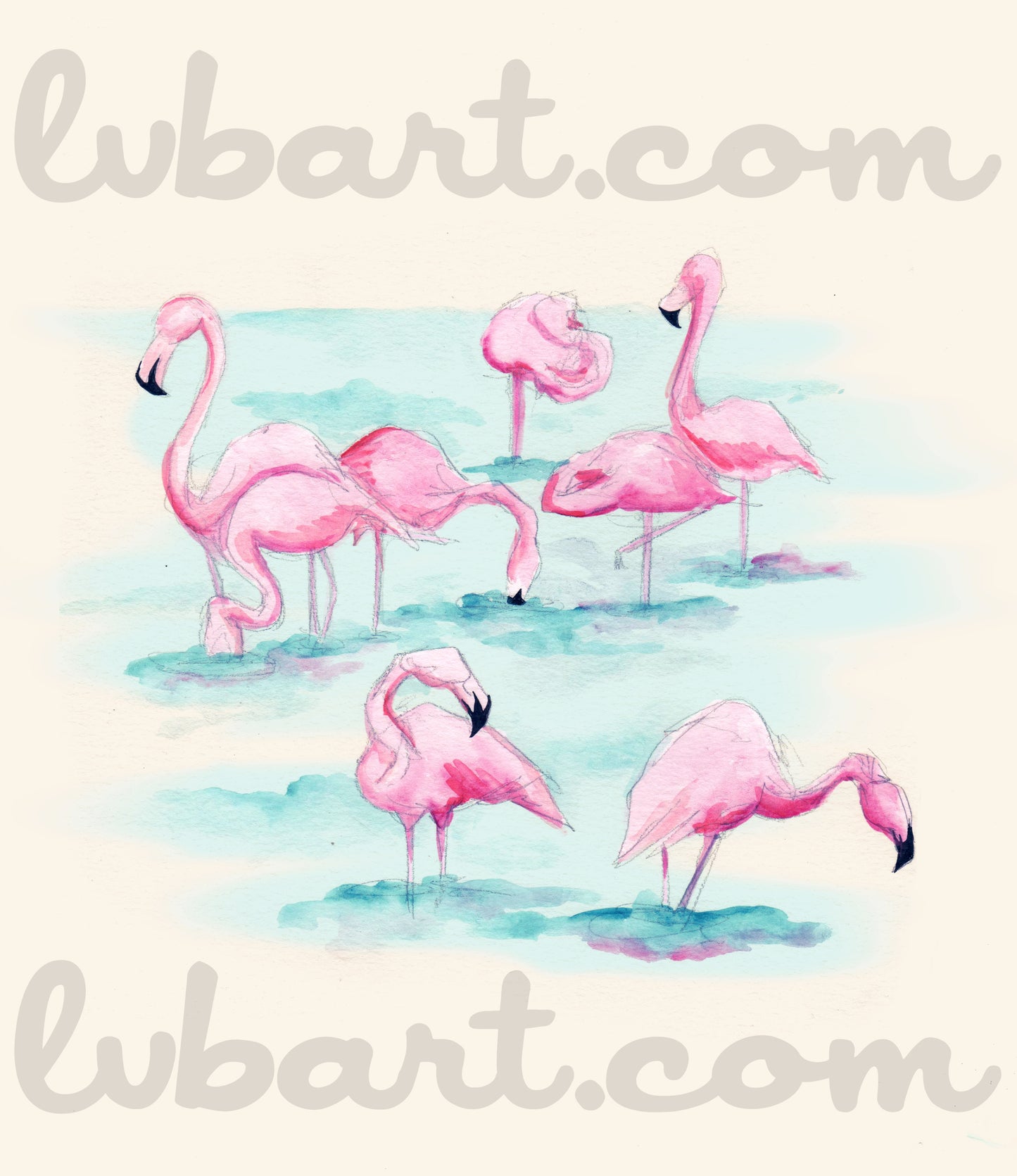 Flamingos Fine Art Print