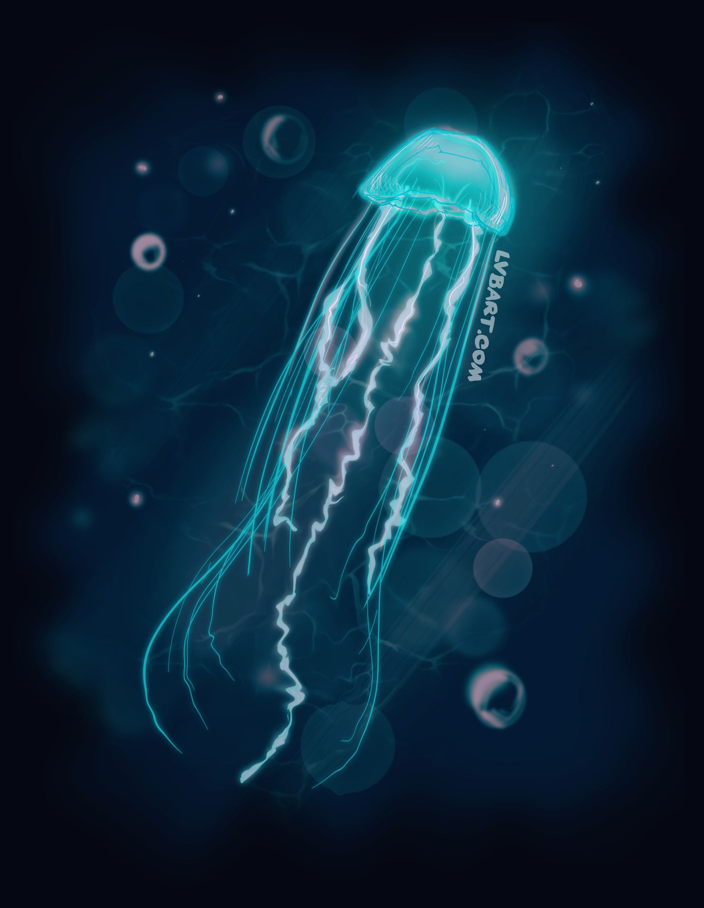 KY Jellyfish II Fine Art Print