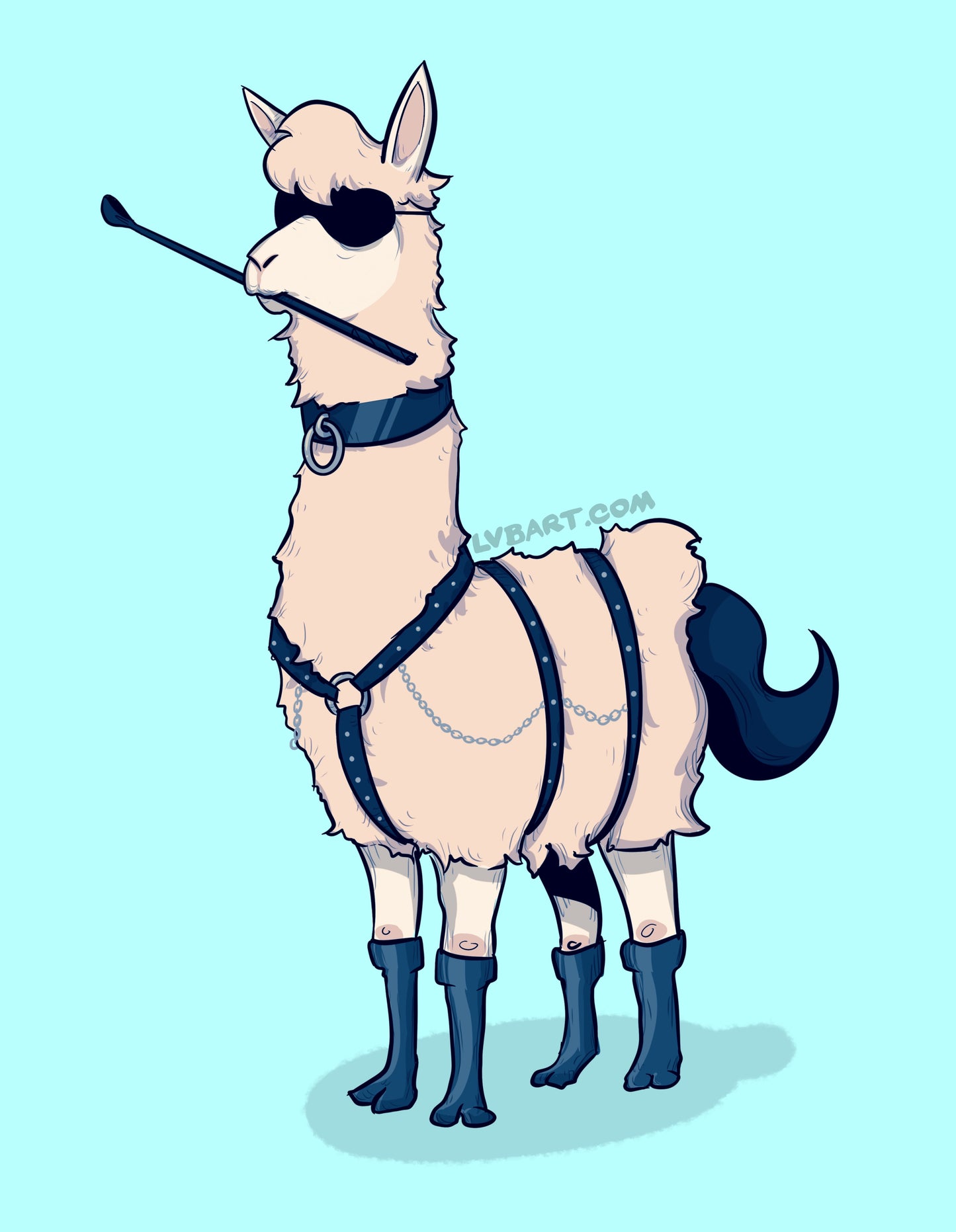 Party Llama Fine Art Print