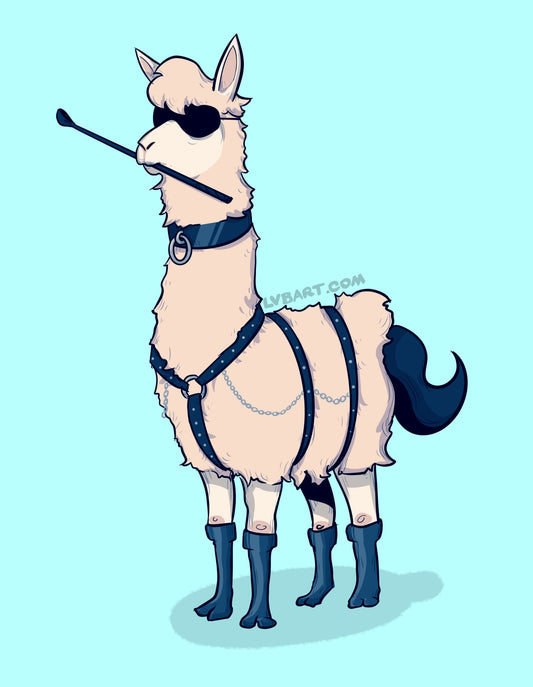 Party Llama Fine Art Print