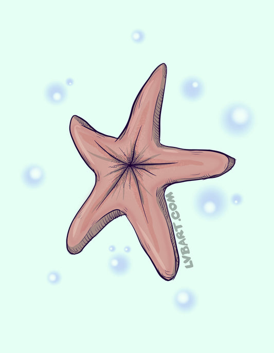 Chocolate Starfish Fine Art Print