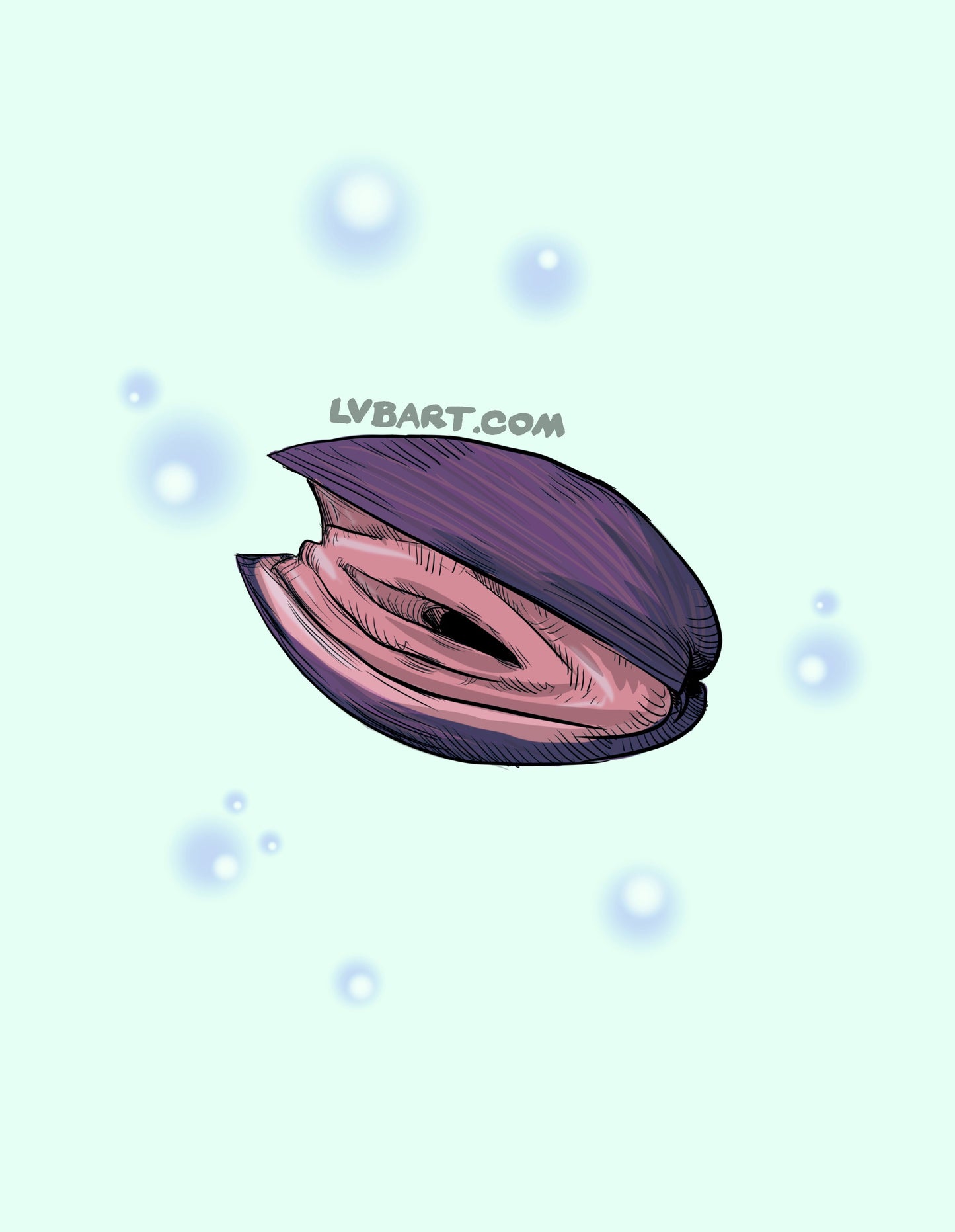 Pink Clam Fine Art Print