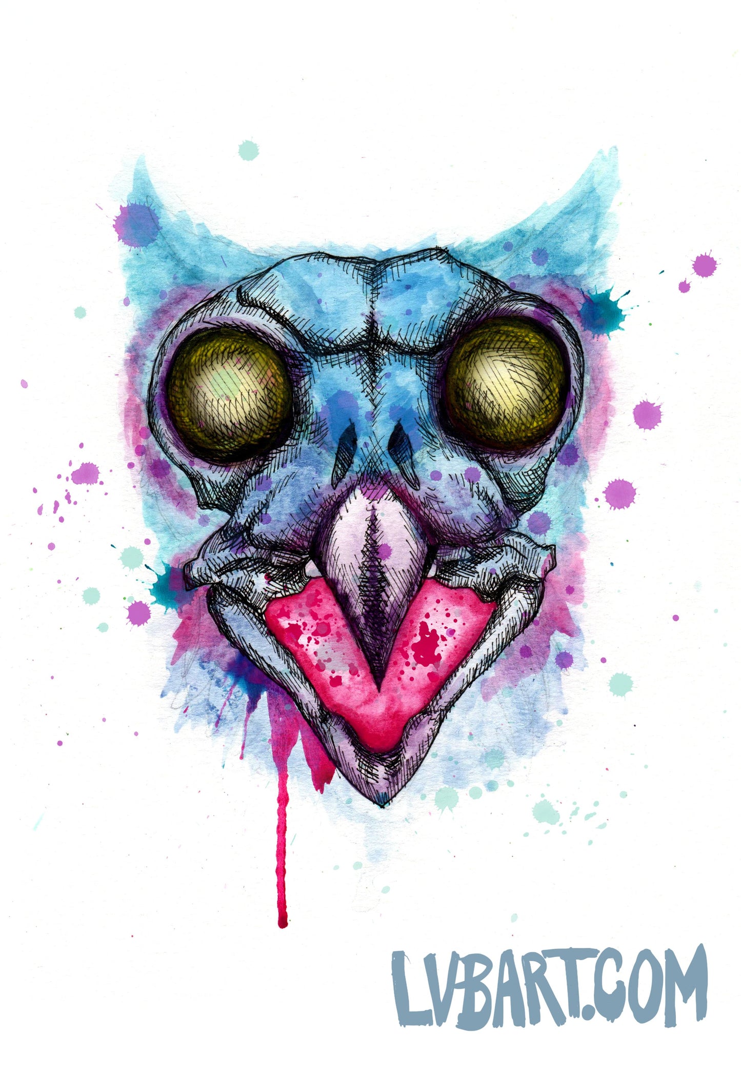 Owl Skull Fine Art Print