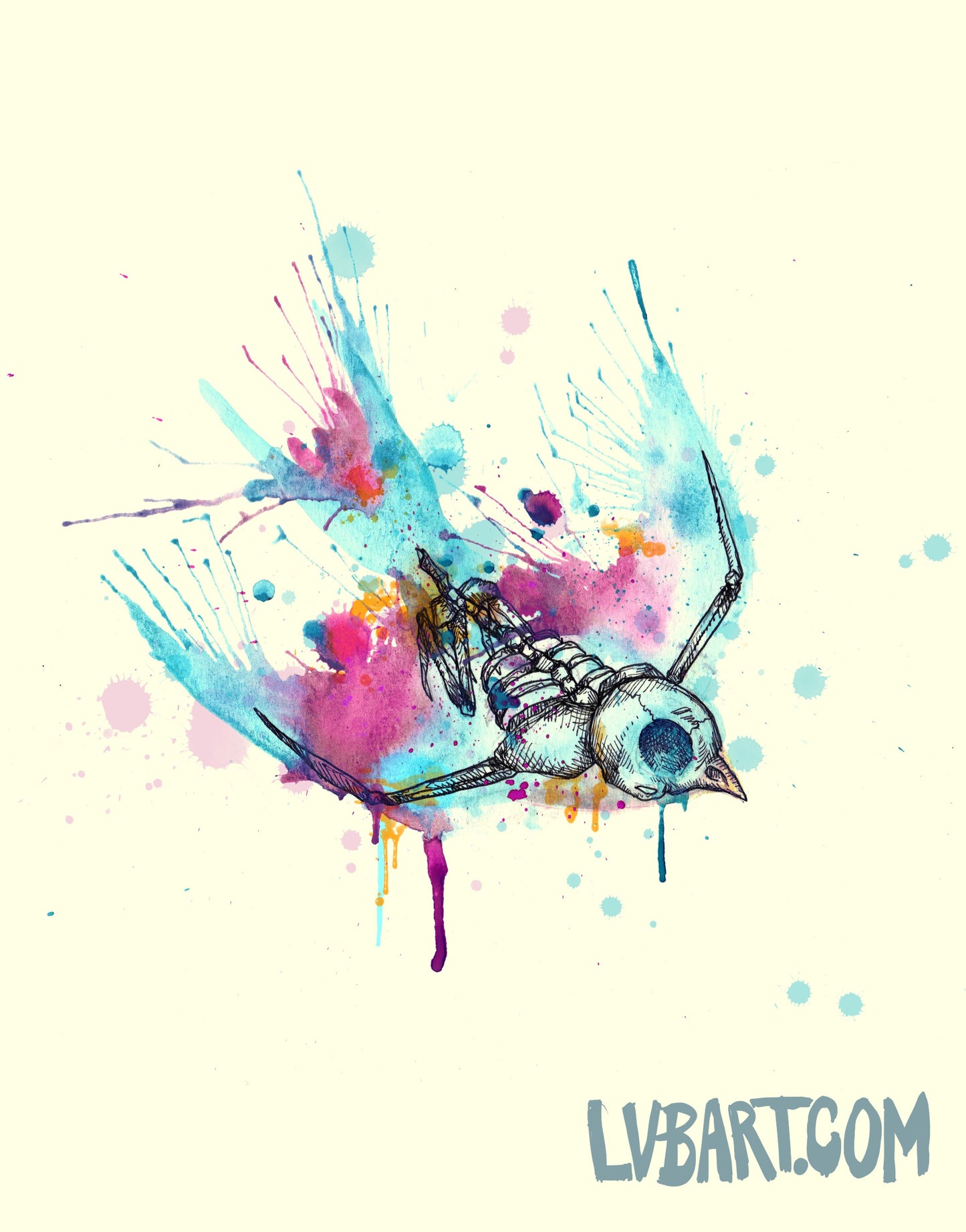 Swallow Skeleton Fine Art Print