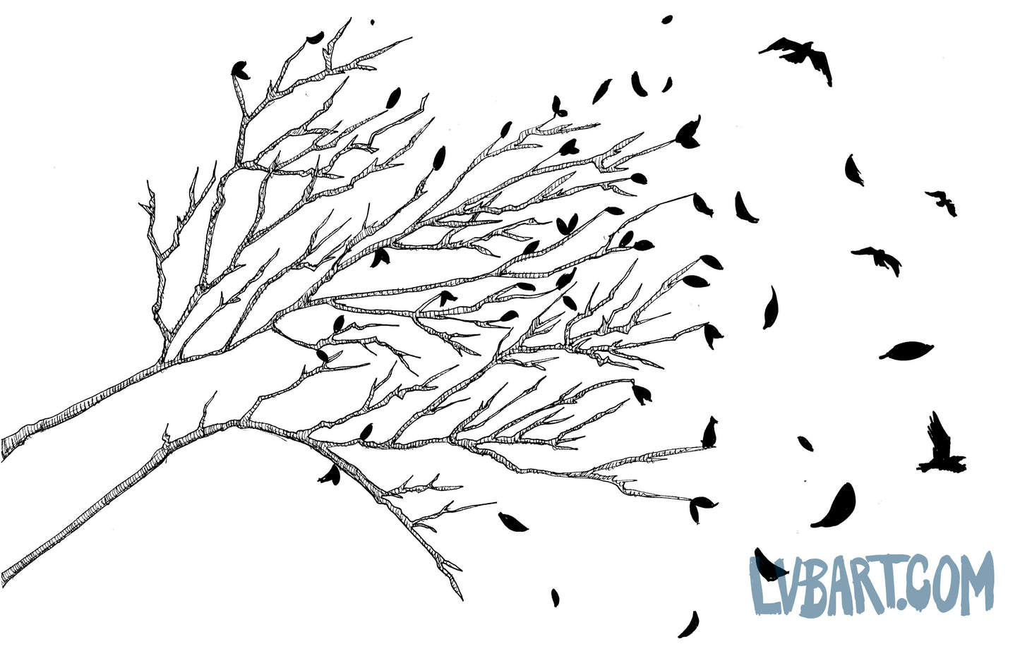 Bird Leaves Black and White Fine Art Print
