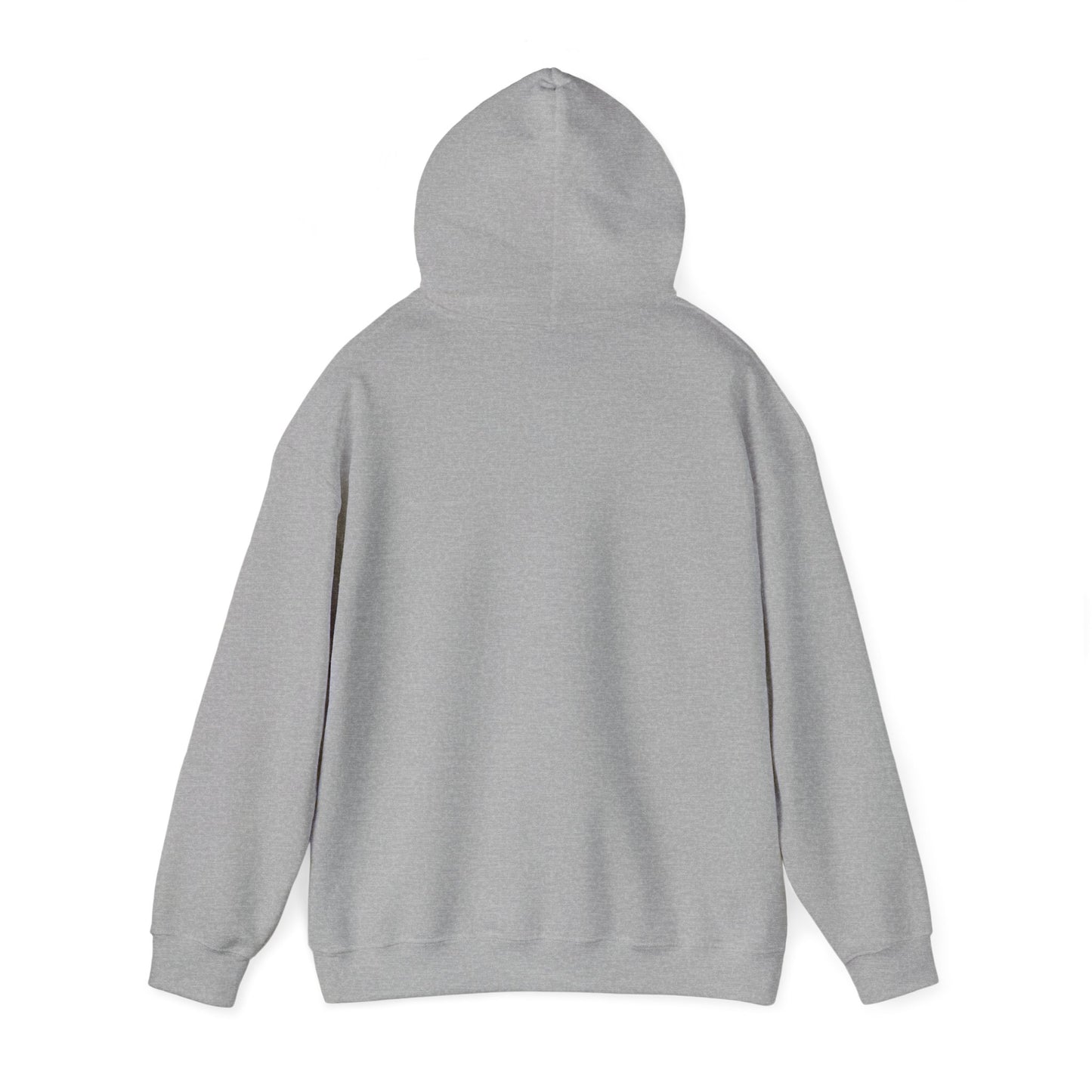 Entropy II Unisex Heavy Blend Hooded Sweatshirt