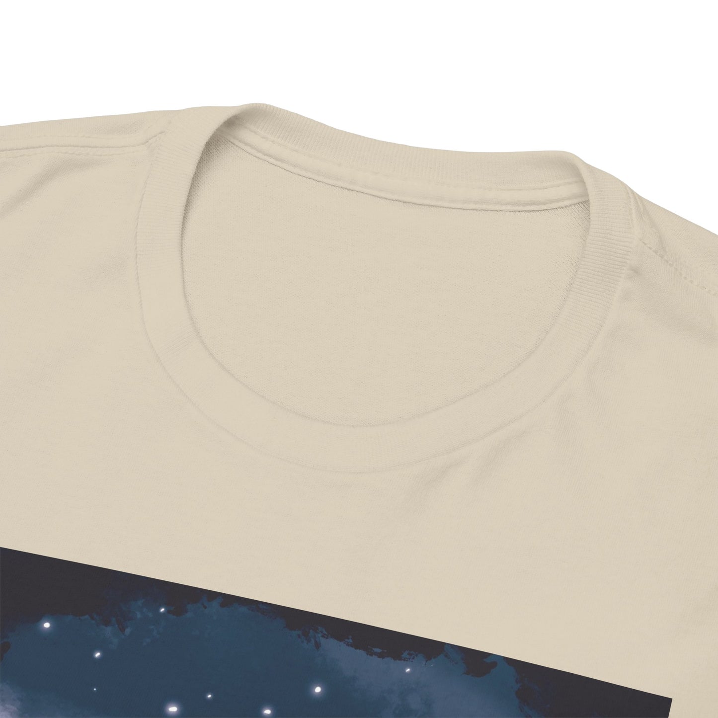 Rainbow Baby Unisex Heavy Cotton Tee
