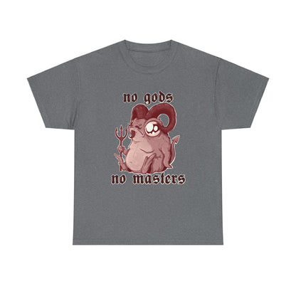 No Gods No Masters Unisex Heavy Cotton Tee