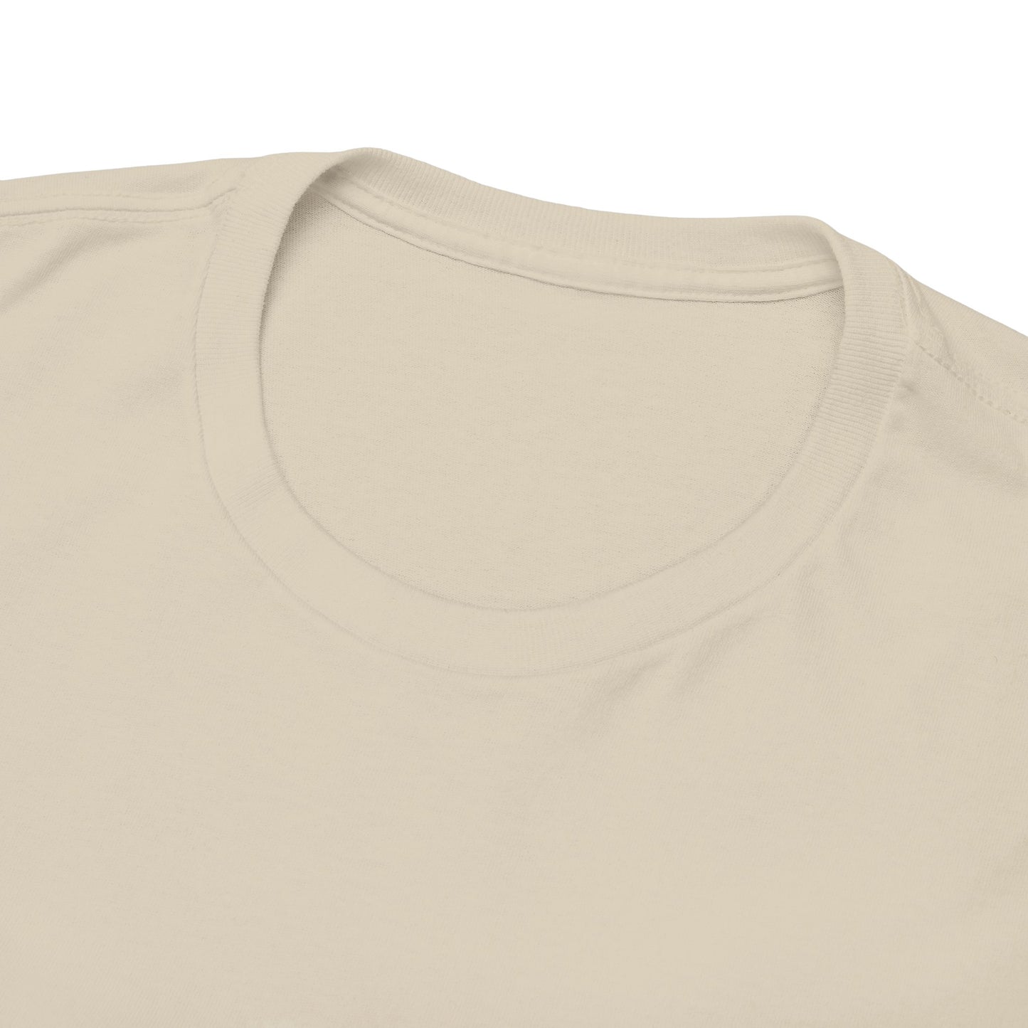 The Pirate & The Princess Unisex Heavy Cotton Tee