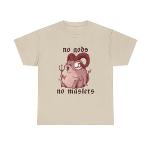 No Gods No Masters Unisex Heavy Cotton Tee