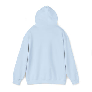 Catch A Vibe Unisex Heavy Blend Hooded Sweatshirt