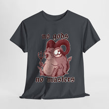 No Gods No Masters Unisex Heavy Cotton Tee