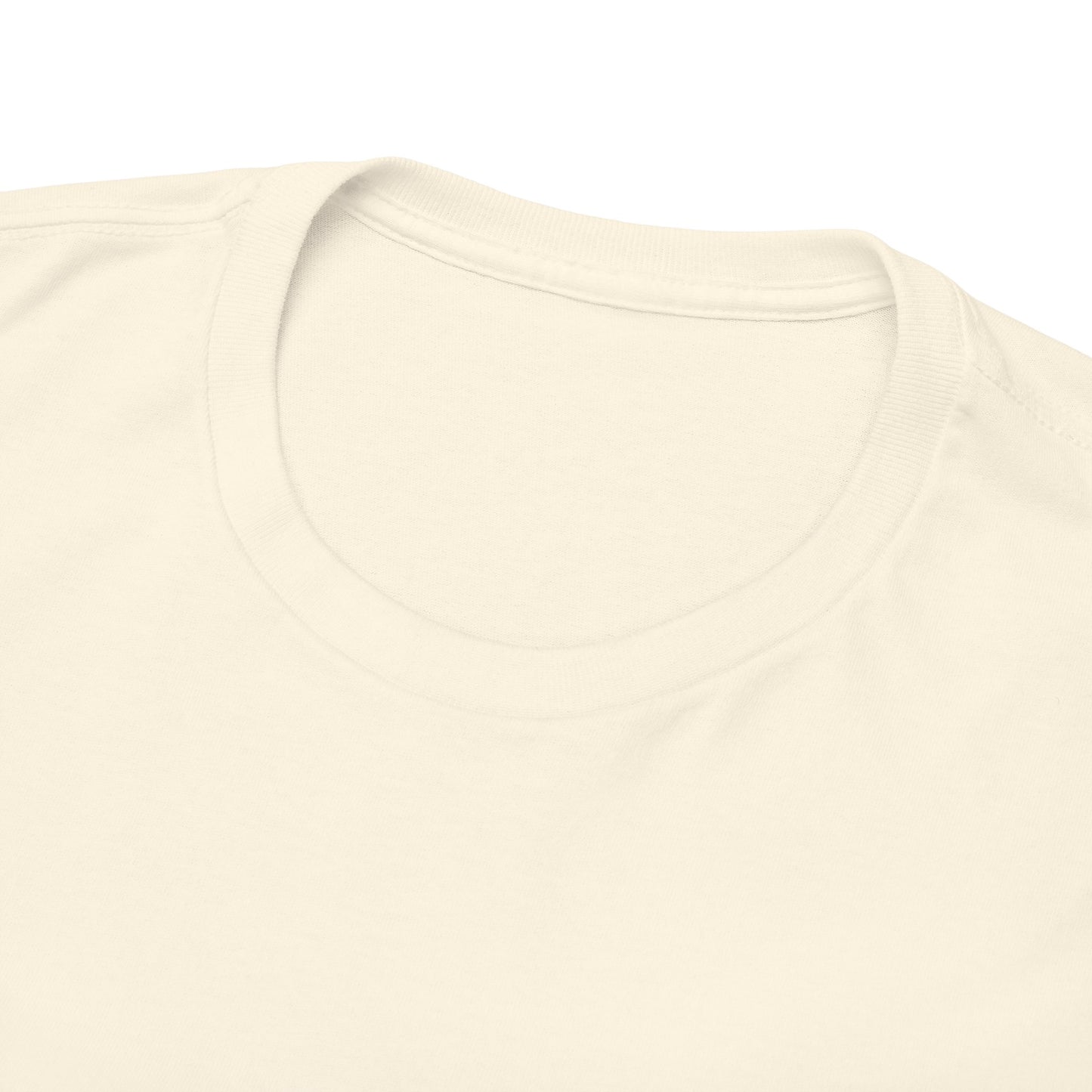 The Pirate & The Princess Unisex Heavy Cotton Tee