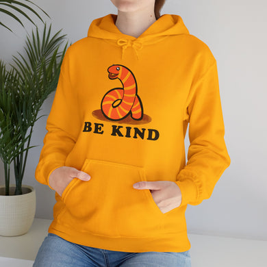 Be Kind Unisex Heavy Blend Hooded Sweatshirt