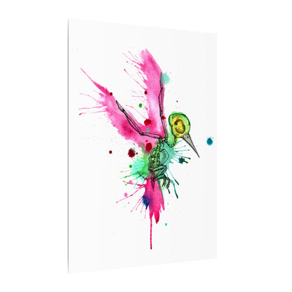 Rainbow Hummingbird Matte Canvas Stretched