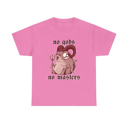 No Gods No Masters Unisex Heavy Cotton Tee