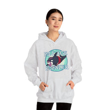 Pillage & Plunder Unisex Heavy Blend Hooded Sweatshirt