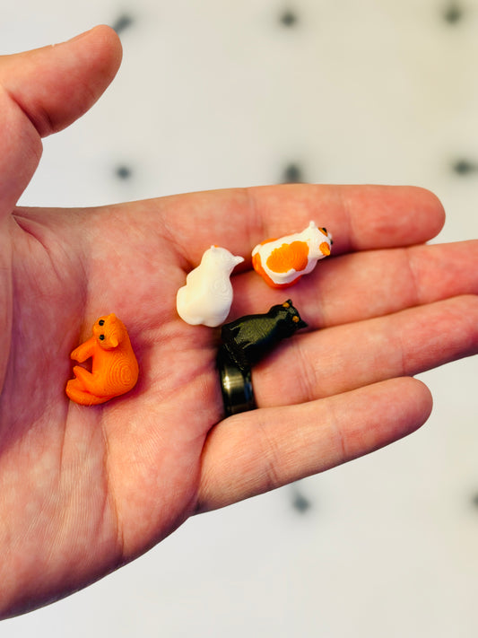 Cat Rx Pills 3D Print
