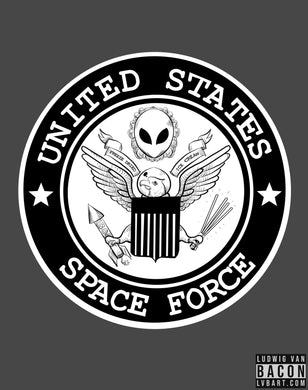 United States Space Force Fine Art Print