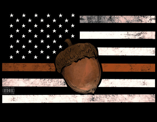 United States of Acorns Fine Art Print