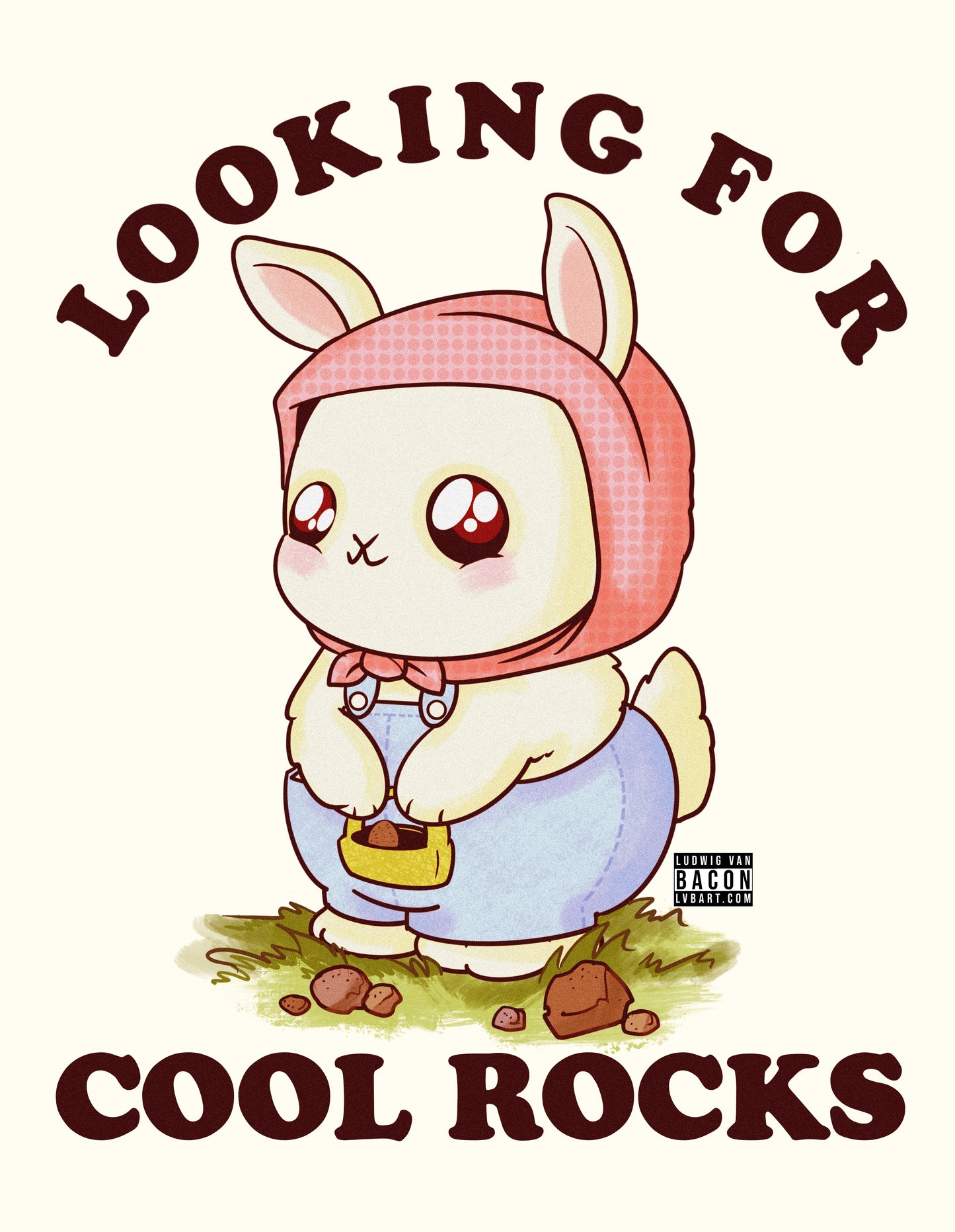 Cool Rocks Fine Art Print