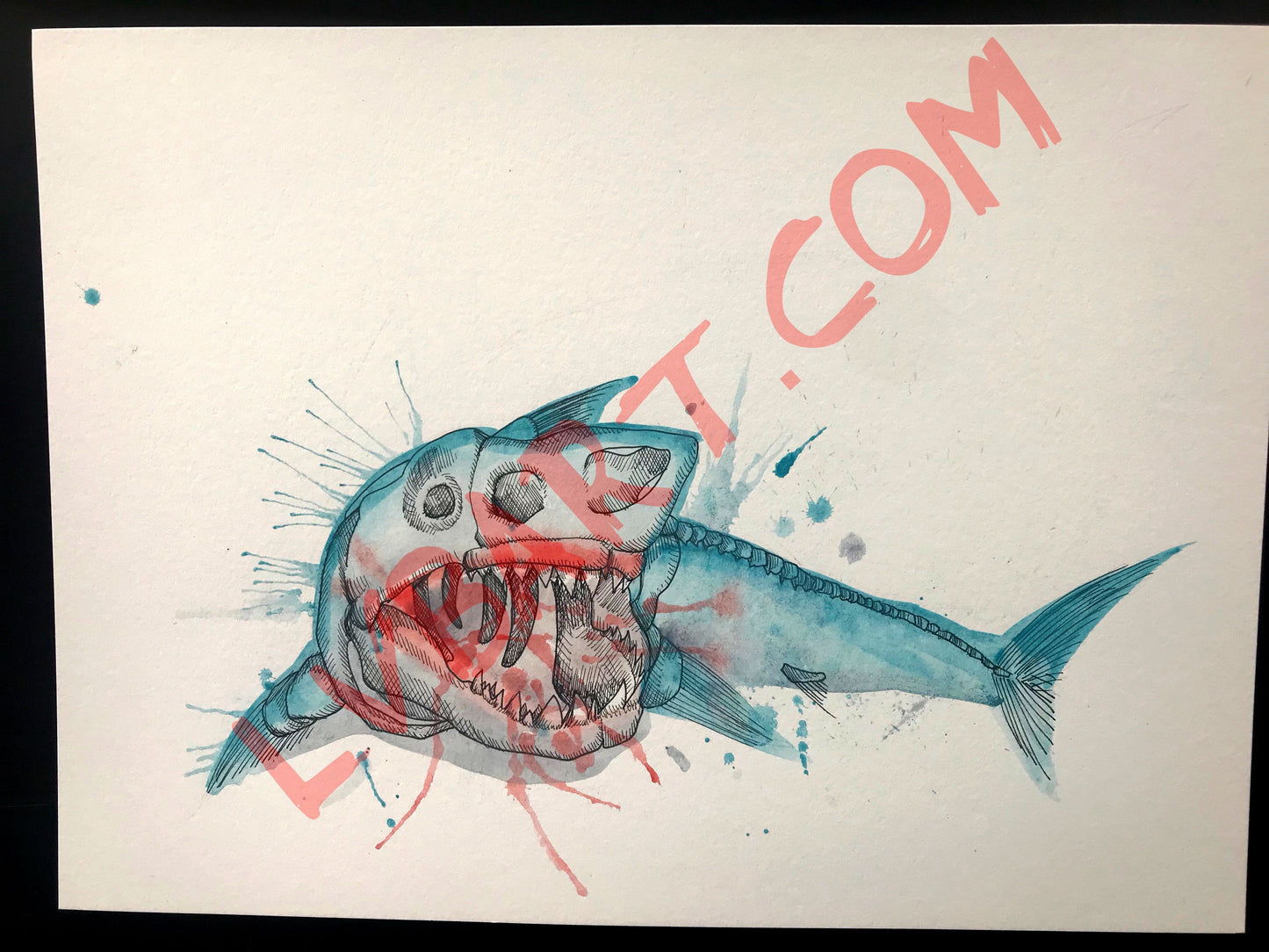 Shark Skeleton 11x15 ORIGINAL Artwork