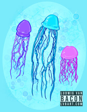 Jellyfish Varieties Fine Art Print