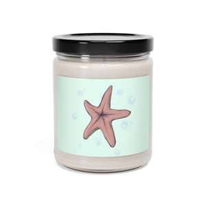 Chocolate Starfish Scented Soy Candle, 9oz
