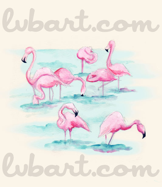Flamingos Fine Art Print