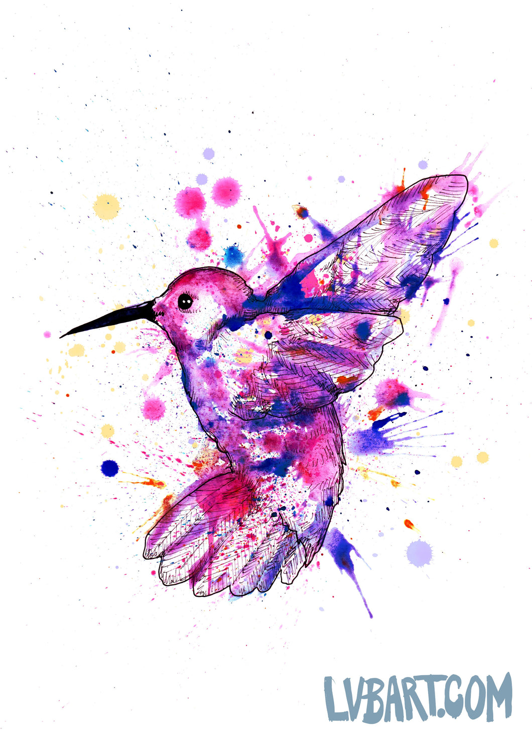 Hummingbird Watercolor Fine Art Print