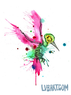 Rainbow Hummingbird Skeleton Fine Art Print