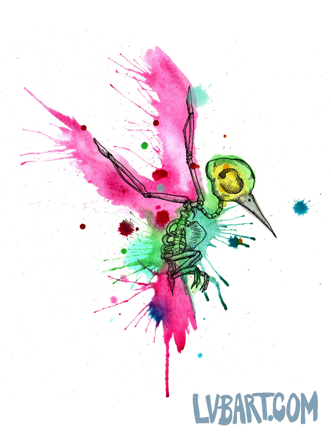 Rainbow Hummingbird Skeleton Fine Art Print