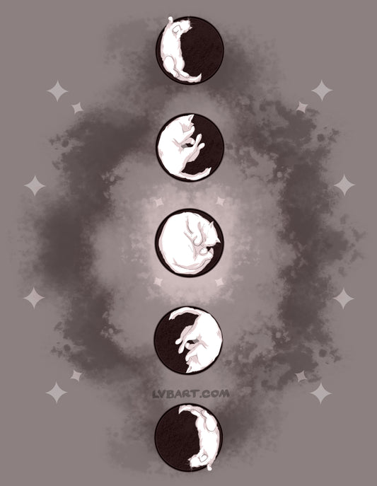 Cat Phases Fine Art Print