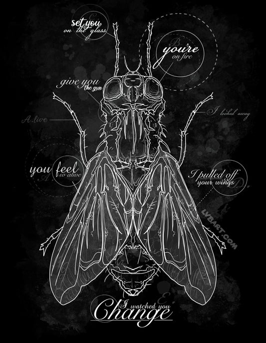 The Fly Fine Art Print