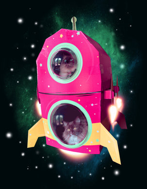 Cats In Space Fine Art Print