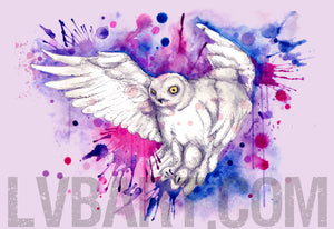 Snowy Owl Fine Art Print