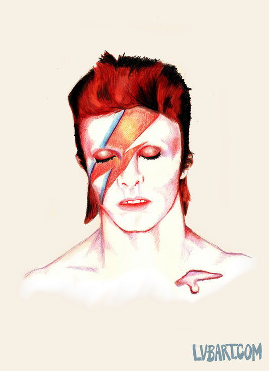 Ziggy Fine Art Print